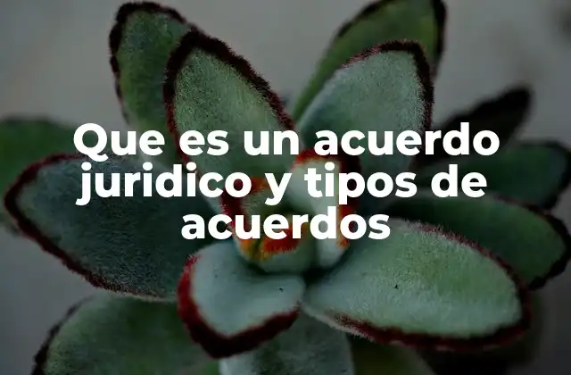 Diferencias entre acuerdos y contratos