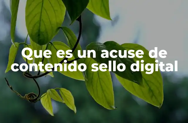 Que es un Acuse de Contenido Sello Digital