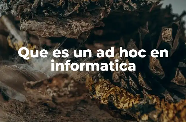 Que es un Ad Hoc en Informatica