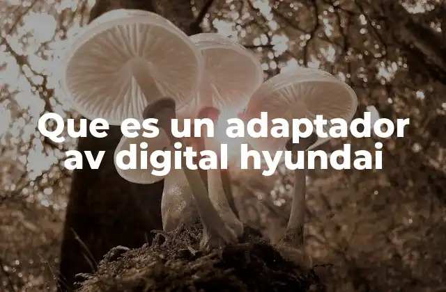 Que es un Adaptador Av Digital Hyundai