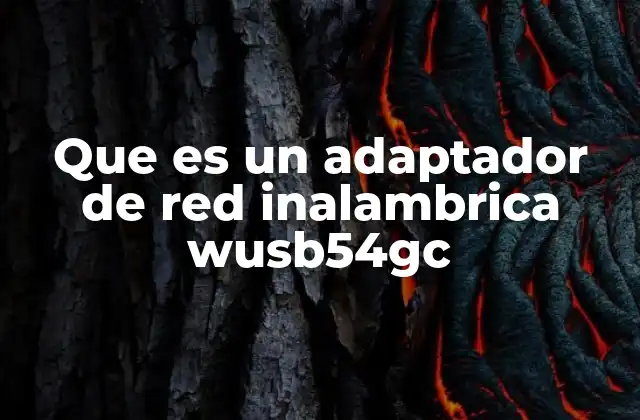 Que es un Adaptador de Red Inalambrica Wusb54gc