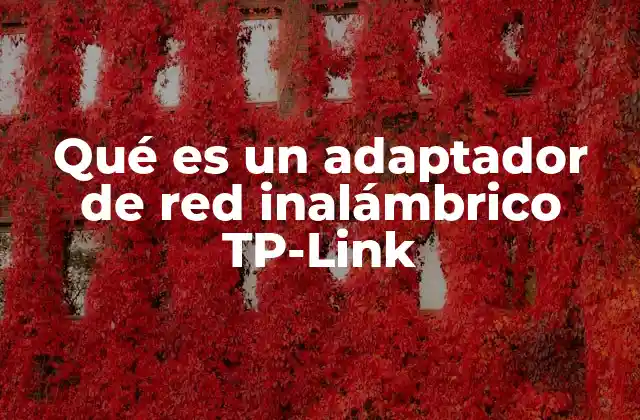 Cómo funciona la tecnología inalámbrica en los adaptadores TP-Link