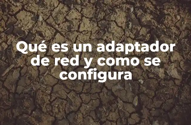 Qué es un Adaptador de Red y como Se Configura