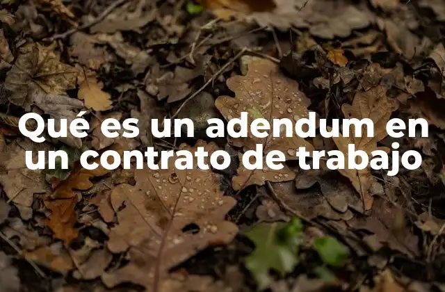 Qué es un Adendum en un Contrato de Trabajo