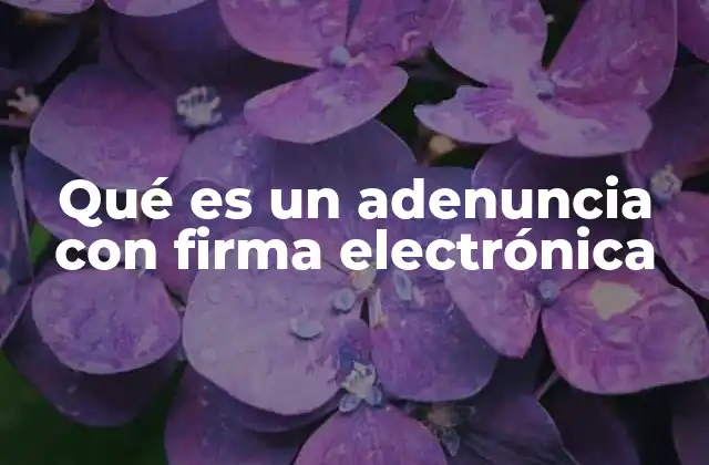 Qué es un Adenuncia con Firma Electrónica