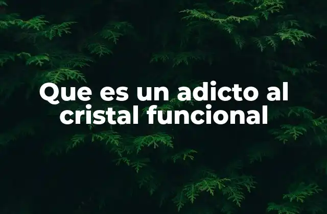 Que es un Adicto Al Cristal Funcional