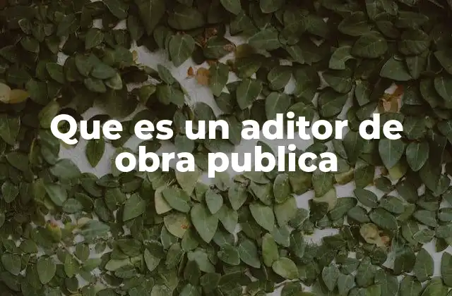 El rol del auditor en la transparencia de los recursos públicos