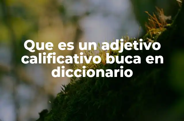 Que es un Adjetivo Calificativo Buca en Diccionario