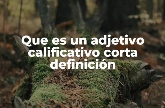 Que es un Adjetivo Calificativo Corta Definición