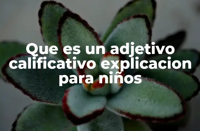 Que es un Adjetivo Calificativo Explicacion para Niños