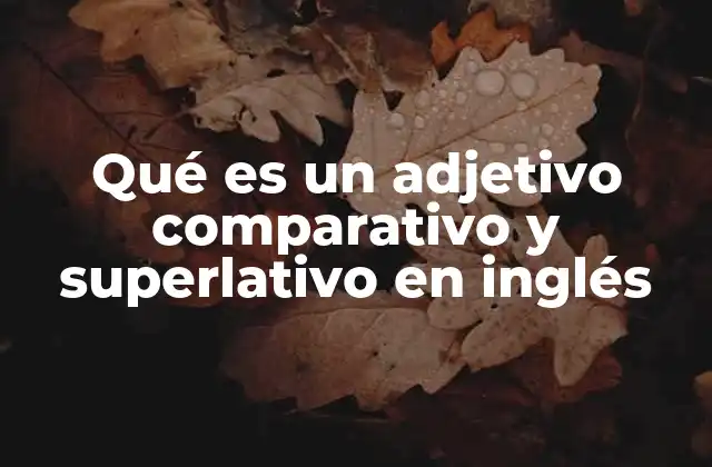 Qué es un Adjetivo Comparativo y Superlativo en Inglés