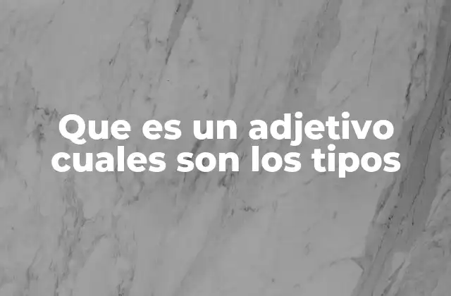 Que es un Adjetivo Cuales Son los Tipos