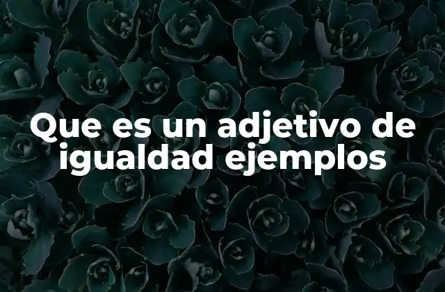 Que es un Adjetivo de Igualdad Ejemplos