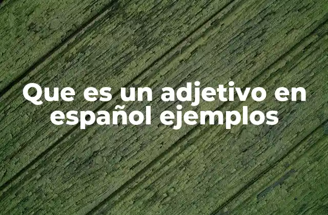Que es un Adjetivo en Español Ejemplos
