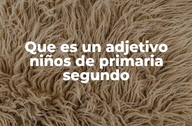 Que es un Adjetivo Niños de Primaria Segundo