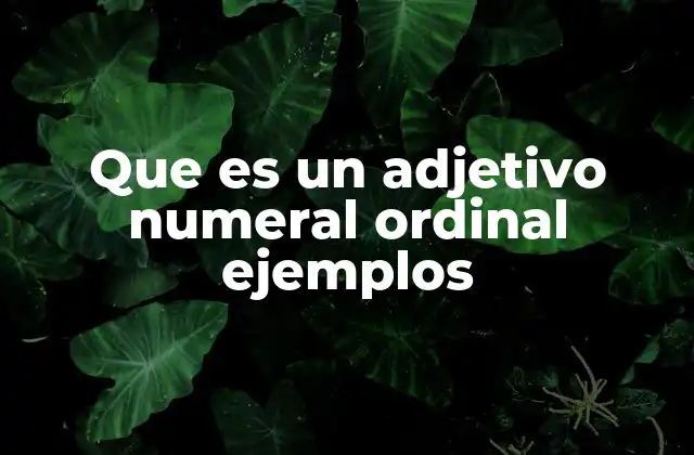 Que es un Adjetivo Numeral Ordinal Ejemplos