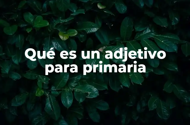 Qué es un Adjetivo para Primaria