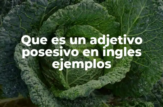Que es un Adjetivo Posesivo en Ingles Ejemplos