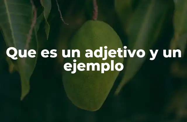 Que es un Adjetivo y un Ejemplo