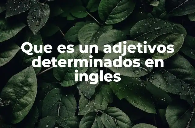 Que es un Adjetivos Determinados en Ingles 2 Cómo funcionan los adjetivos determinados en la gramática inglesa