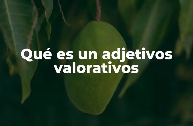 Qué es un Adjetivos Valorativos