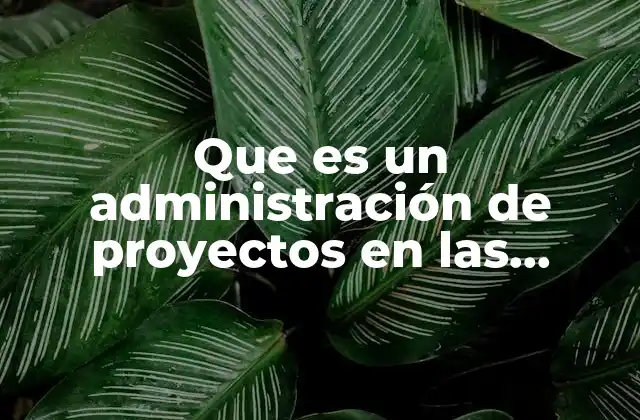Que es un Administración de Proyectos en las Tecnologias
