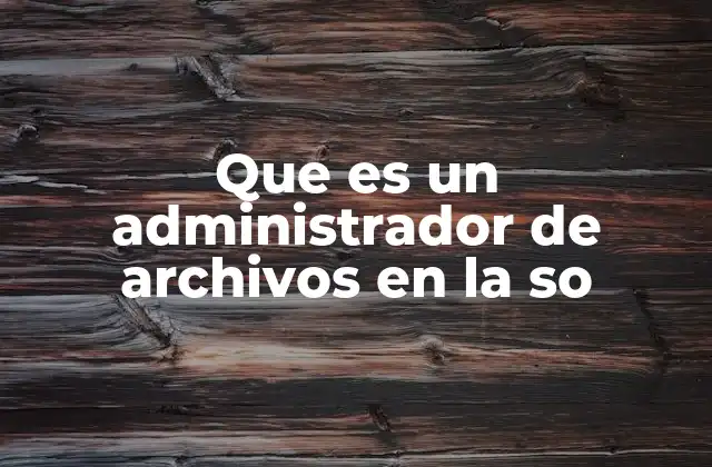 Que es un Administrador de Archivos en la so