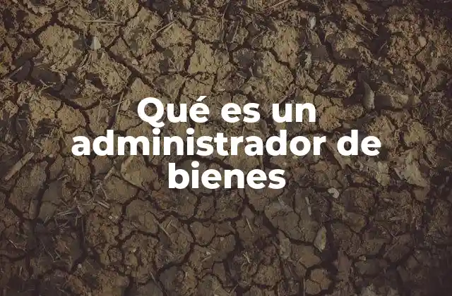 Qué es un Administrador de Bienes