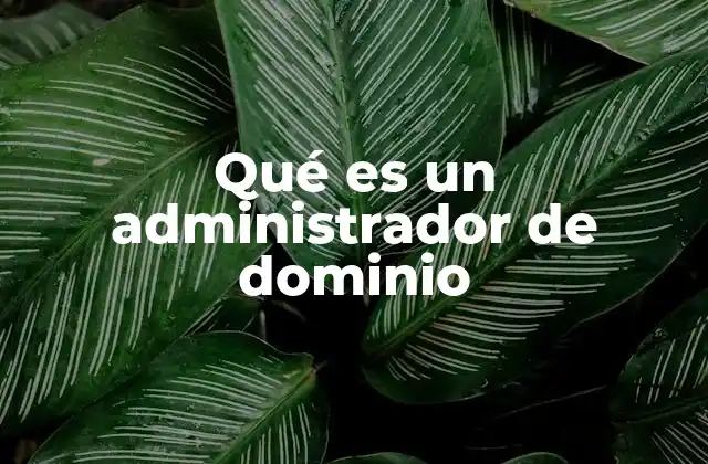 Qué es un Administrador de Dominio