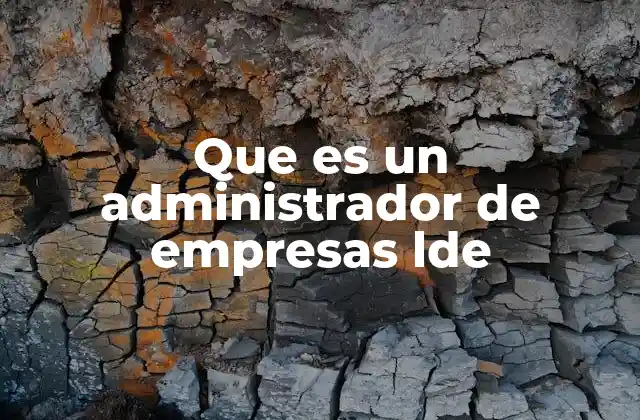 Que es un Administrador de Empresas Lde