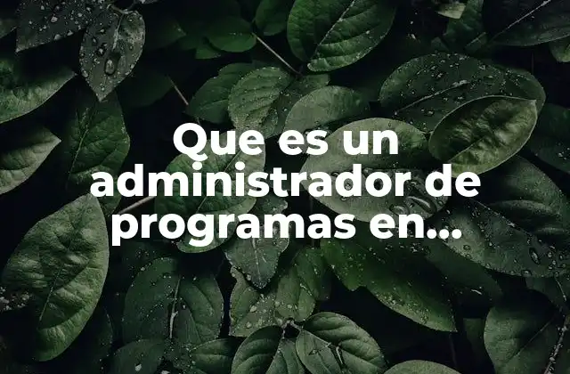 Que es un Administrador de Programas en Informatica
