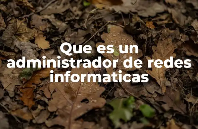 Que es un Administrador de Redes Informaticas