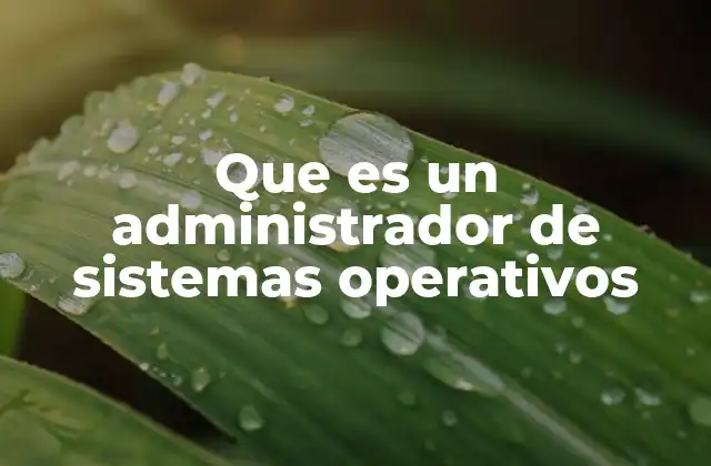 Que es un Administrador de Sistemas Operativos