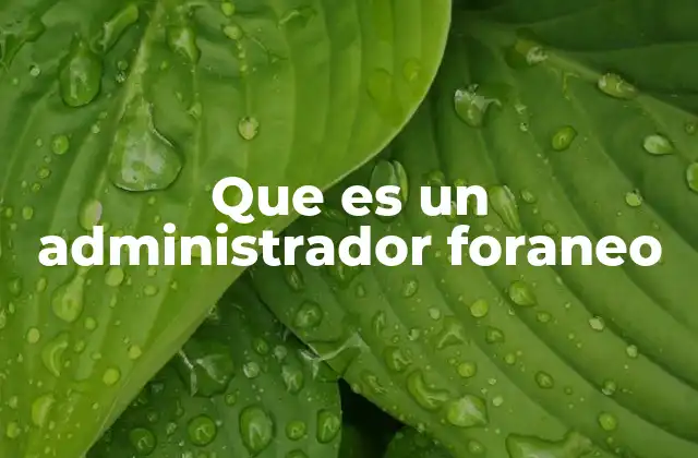 Que es un Administrador Foraneo