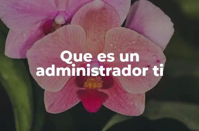 Que es un Administrador Ti
