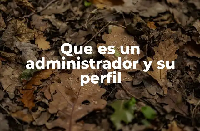 Que es un Administrador y Su Perfil