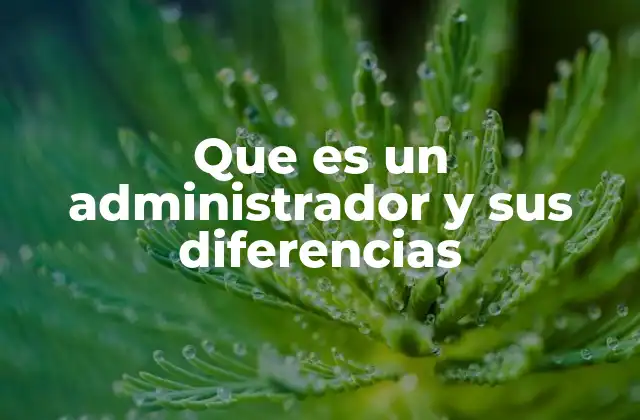 Que es un Administrador y Sus Diferencias 2 El rol del administrador en el entorno empresarial