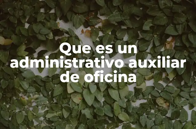 Que es un Administrativo Auxiliar de Oficina