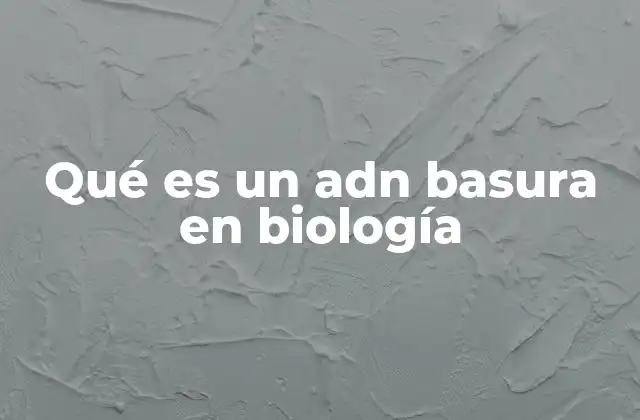 El ADN no codificante y su papel en la regulación genética
