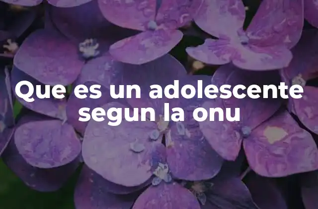 Que es un Adolescente Segun la Onu
