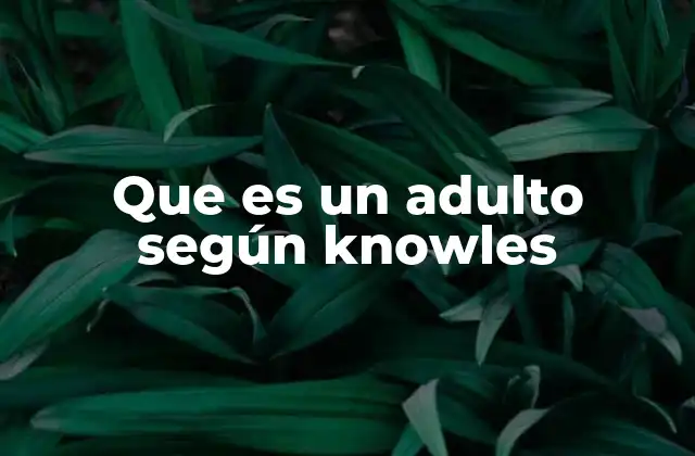 Que es un Adulto según Knowles