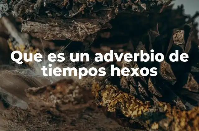 Que es un Adverbio de Tiempos Hexos