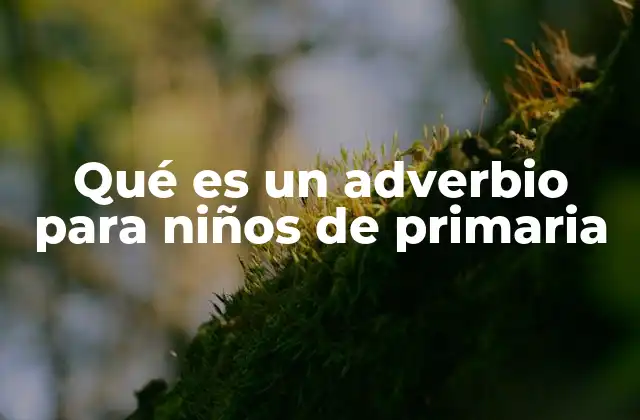 Cómo los adverbios enriquecen las frases de los niños