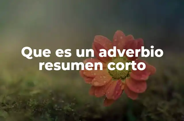 Que es un Adverbio Resumen Corto