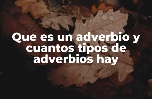 Que es un Adverbio y Cuantos Tipos de Adverbios Hay 2 La importancia de los adverbios en la construcción de oraciones