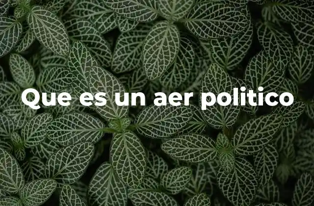 Que es un Aer Politico