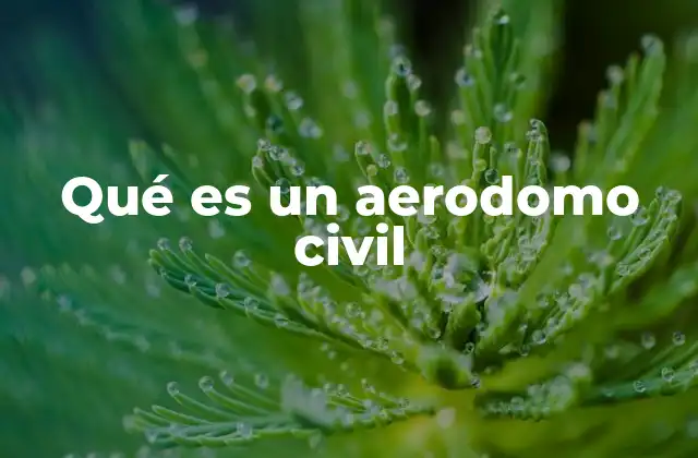 Qué es un Aerodomo Civil