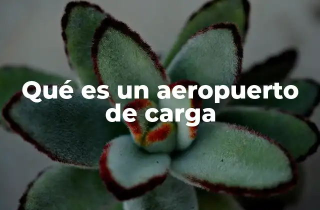 Qué es un Aeropuerto de Carga