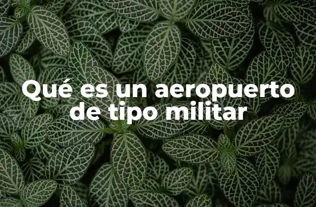 Qué es un Aeropuerto de Tipo Militar