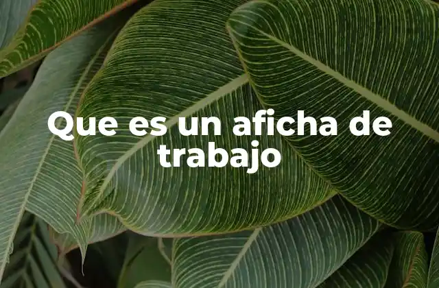 Que es un Aficha de Trabajo 2 La importancia de la comunicación visual en el entorno laboral